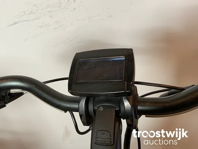 Elektrische fiets - afbeelding 6 van  9