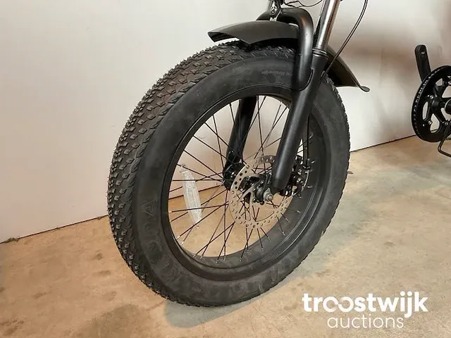 Elektrische fiets - afbeelding 3 van  6