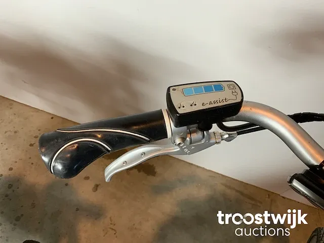 Elektrische fiets - afbeelding 6 van  9