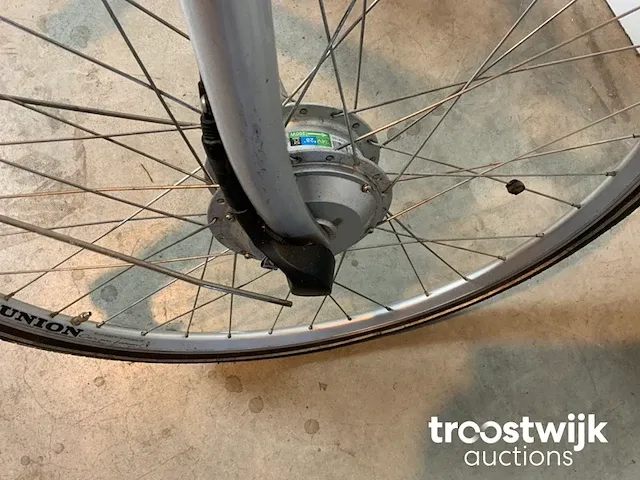 Elektrische fiets - afbeelding 9 van  9