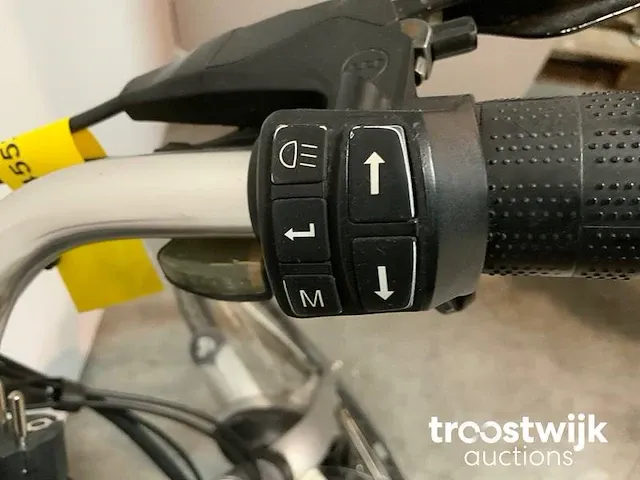 Elektrische fiets - afbeelding 5 van  9