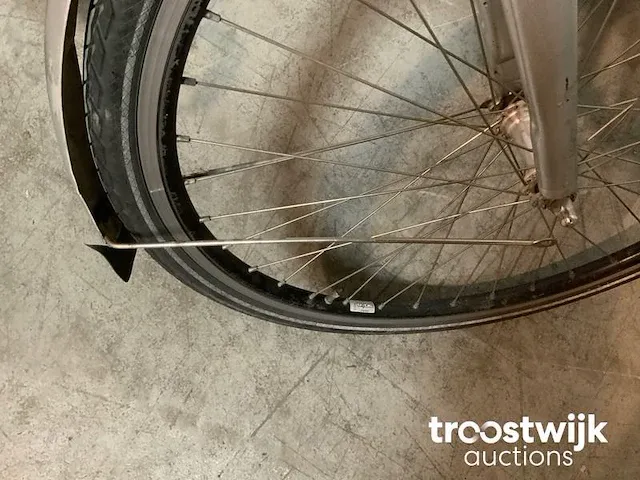 Elektrische fiets - afbeelding 9 van  9