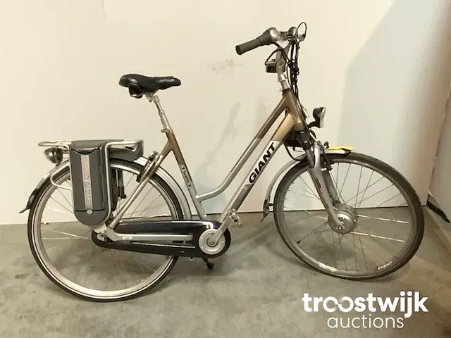 Elektrische fiets - afbeelding 1 van  9
