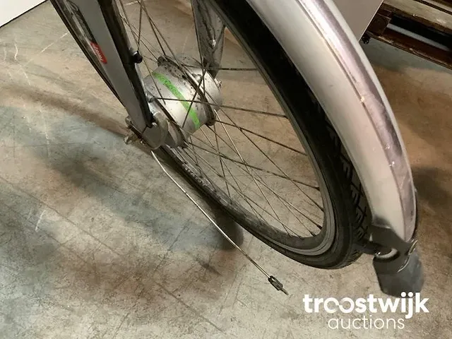 Elektrische fiets - afbeelding 5 van  9