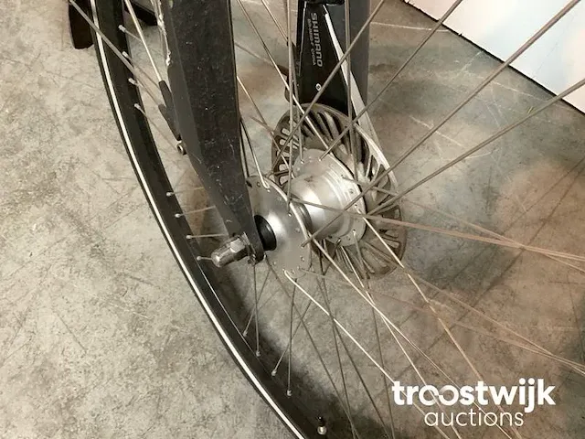 Elektrische fiets - afbeelding 8 van  8