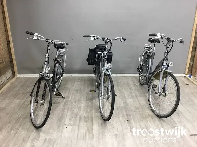 Elektrische fiets - afbeelding 1 van  11