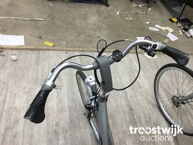 Elektrische fiets - afbeelding 5 van  11