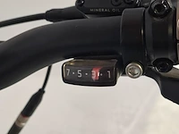 Elektrische herenfiets, besv, ps1 - afbeelding 13 van  15