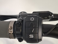 Elektrische herenfiets, besv, ps1 - afbeelding 15 van  15