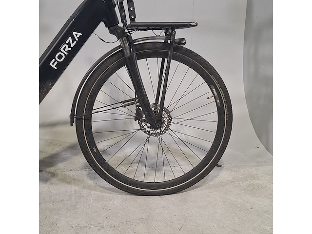 Elektrische herenfiets, forza, giulia cosmo - afbeelding 3 van  16