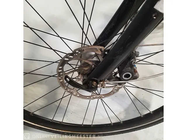 Elektrische herenfiets gazele, cityzen speed - afbeelding 13 van  22