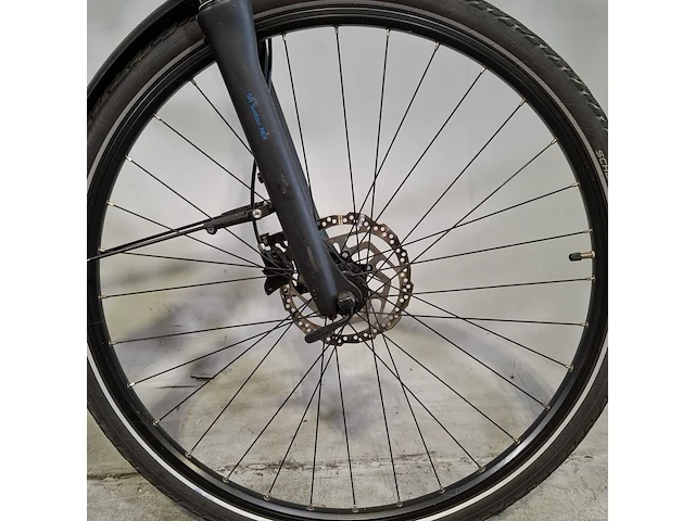 Elektrische herenfiets, kalkhoff, endeavour - afbeelding 10 van  14