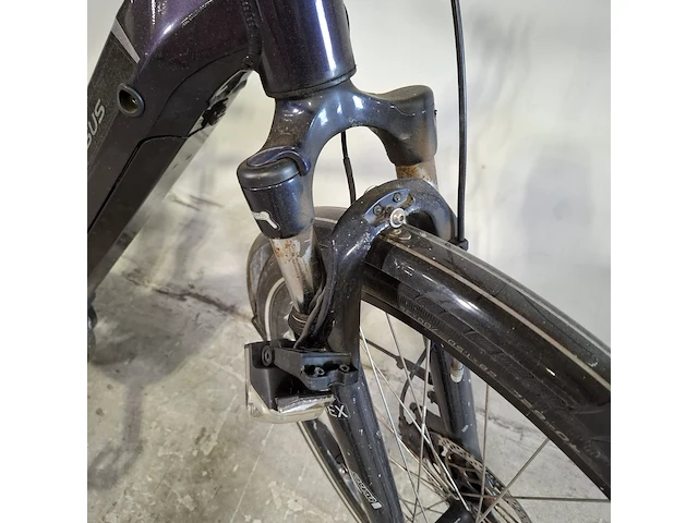 Elektrische herenfiets, pegasus - afbeelding 2 van  18