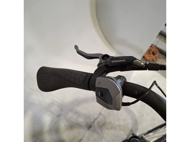 Elektrische herenfiets, pegasus - afbeelding 4 van  18