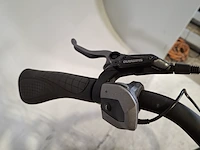 Elektrische herenfiets, pegasus - afbeelding 4 van  18