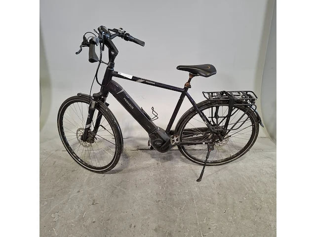 Elektrische herenfiets, pegasus - afbeelding 7 van  18