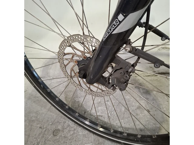 Elektrische herenfiets, pegasus - afbeelding 8 van  18