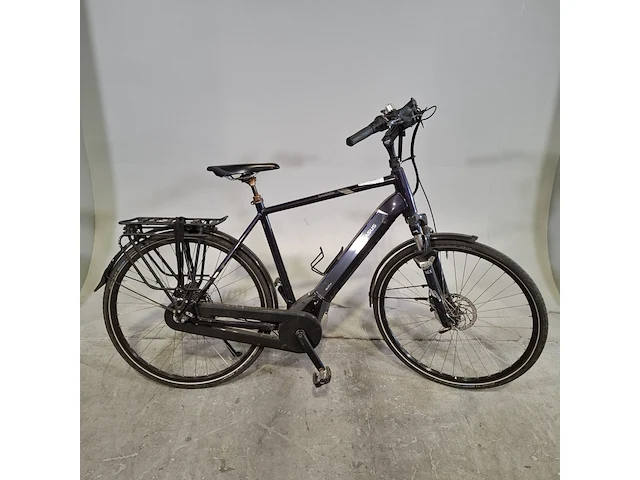 Elektrische herenfiets, pegasus - afbeelding 1 van  18