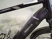 Elektrische herenfiets, pegasus - afbeelding 17 van  18