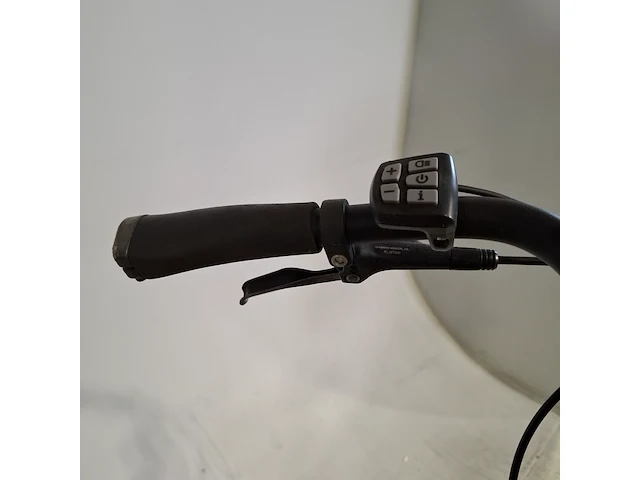 Elektrische herenfiets, qwic, premium - afbeelding 4 van  18