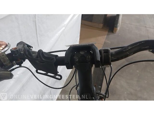 Elektrische herenfiets riese & müller, bluelabel - afbeelding 7 van  16