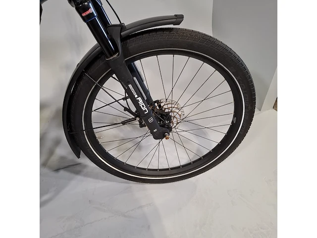 Elektrische herenfiets riese & müller - afbeelding 3 van  25