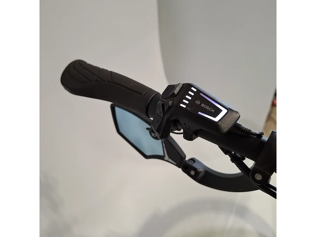 Elektrische herenfiets riese & müller - afbeelding 6 van  25