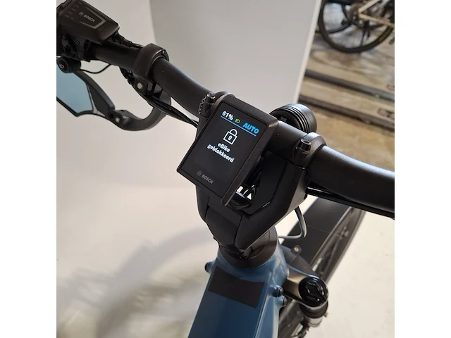 Elektrische herenfiets riese & müller - afbeelding 8 van  25
