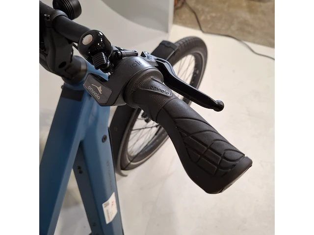 Elektrische herenfiets riese & müller - afbeelding 10 van  25