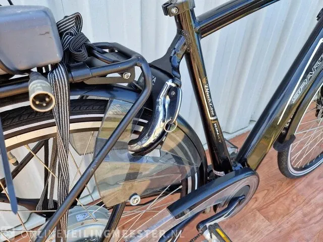 Elektrische herenfiets sparta, black line, zwart - afbeelding 7 van  12