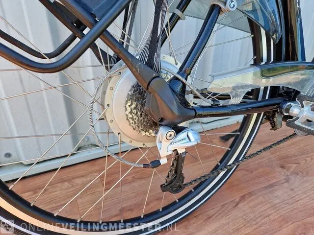 Elektrische herenfiets sparta, black line, zwart - afbeelding 8 van  12