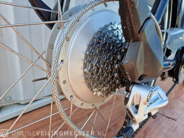 Elektrische herenfiets sparta, black line, zwart - afbeelding 9 van  12