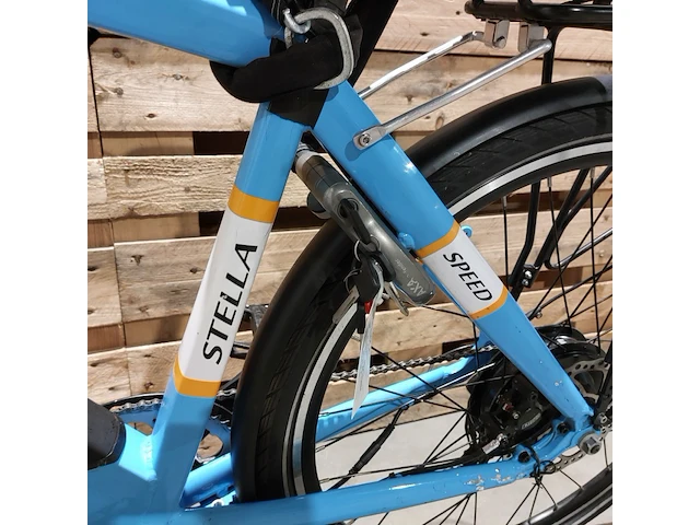 Elektrische herenfiets, stella, gualtiero - afbeelding 17 van  17