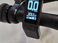 Elektrische herenfiets, tenways, cgo600 - afbeelding 13 van  15