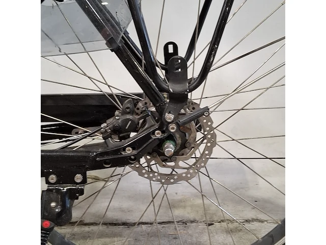 Elektrische herenfiets, trennergy, touring - afbeelding 5 van  15
