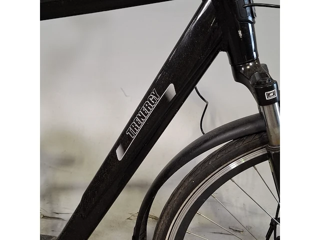 Elektrische herenfiets, trennergy, touring - afbeelding 10 van  15