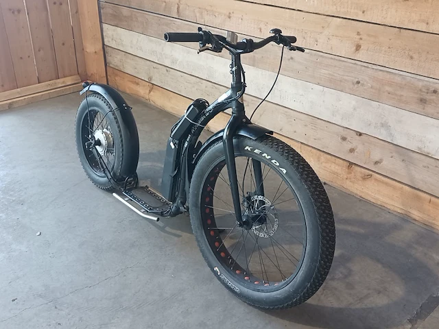 Elektrische kickbike, fat max step - afbeelding 11 van  18