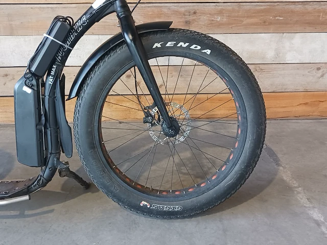 Elektrische kickbike, fat max step - afbeelding 13 van  18