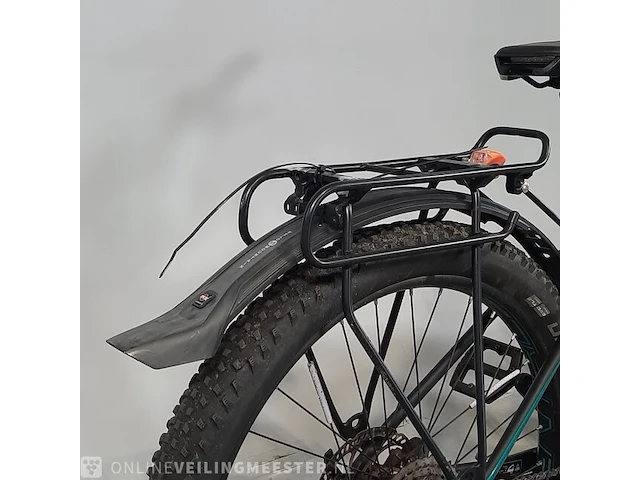 Elektrische mountainbike bulls, aminga eva 3 - afbeelding 5 van  19