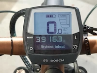 Elektrische mountainbike bulls, aminga eva 3 - afbeelding 11 van  19