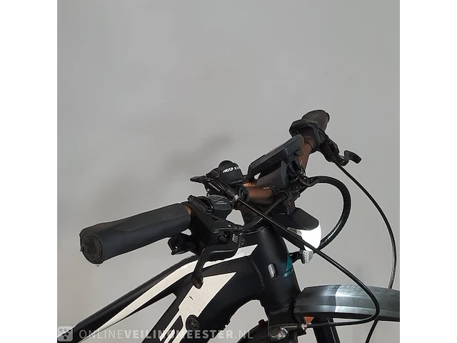 Elektrische mountainbike bulls, aminga eva 3 - afbeelding 14 van  19