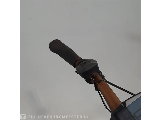 Elektrische mountainbike bulls, aminga eva 3 - afbeelding 15 van  19