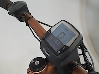 Elektrische mountainbike bulls, aminga eva 3 - afbeelding 16 van  19