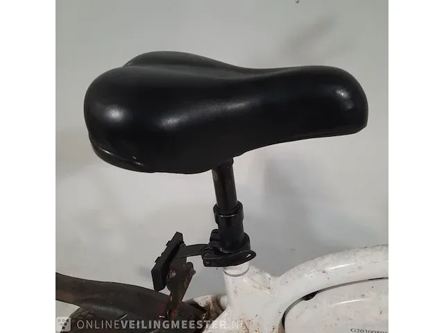 Elektrische scooter dyu - afbeelding 16 van  17