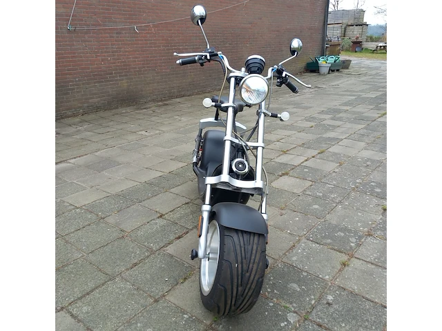 Elektrische scooter, grijs / chroom, bouwjaar 2021 - afbeelding 3 van  11
