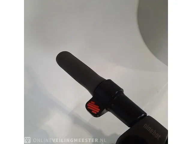 Elektrische step ninebot, e22e - afbeelding 15 van  15