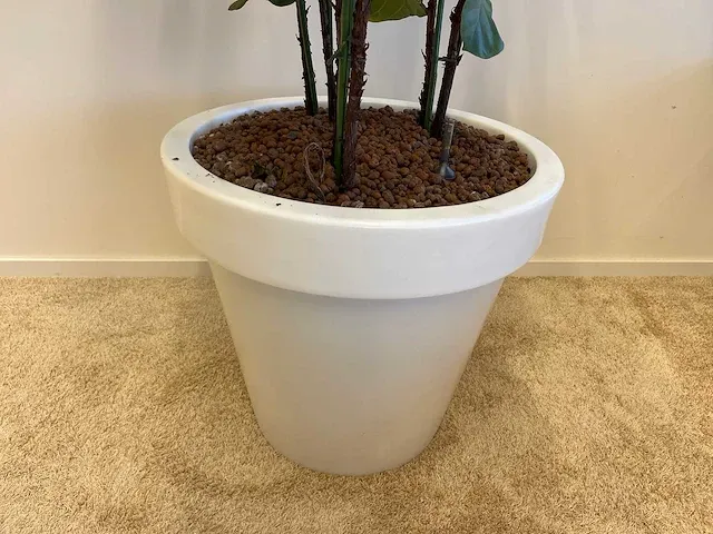 Elho - vioolbladplant in kunststof pot - h195cm - afbeelding 2 van  7