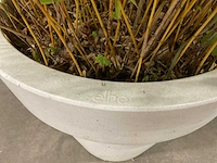 Elho plant met pot (2x) - afbeelding 4 van  4