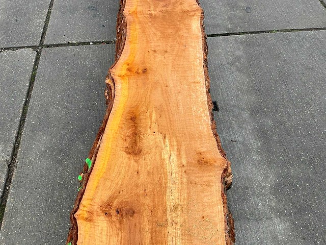 Els (0,263 m3) - afbeelding 6 van  10