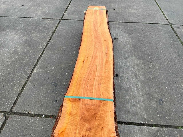 Els (0,263 m3) - afbeelding 7 van  10